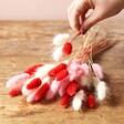Preserved Lagurus Bunny Tails Grass in Pink, Red and White