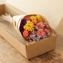 Rainbow Brights Dried Flower Posy Bouquet Gift