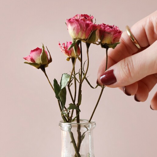 Small Dried Pink Rose Posy Close Up of Small Dried Pink Rose Posy