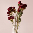 Small Dried Red Rose Posy in Vase