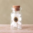 Tiny Dried Flower Glass Bottle on Wooden Table