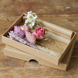 Set of 4 Pastel Dried Flower Hair Clips in Box