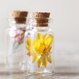 Close Up of Set of 6 Summer Meadow Dried Flower Mini Wedding Favour Bottles