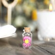 Set of 6 Summer Meadow Dried Flower Mini Wedding Favour Bottles with Pink Flower