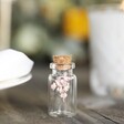 Set of 6 Summer Meadow Dried Flower Mini Wedding Favour Bottles with Gypsophila