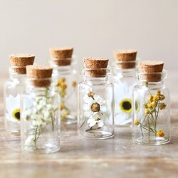 Set of 6 Vintage Natural Dried Flower Mini Wedding Favour Bottles