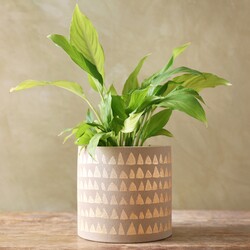 Gold Triangle Print Planter, H15.5cm