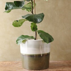 Large Block Green Ceramic Planter, H26cm