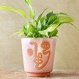 green plant inside Medium Pink and Terracotta Abstract Face Planter on wooden table