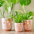 small, medium and large Pink and Terracotta Abstract Face Planter, H12cm with plants inside
