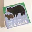 Grandad Bear Father's Day Card With Green Envelope