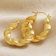 Twisted Rope Hoop Earrings in Gold on Beige Coloured Fabric