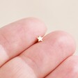Model Holding Tish Lyon Solid Gold Star Helix Earring Between Fingertips