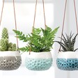 Burgon & Ball Small Dotty Hanging Planter hanging between a blue planter and a grey planter