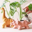 Model Watering Plants in Pink Triceratops Dinosaur Planter and Mustard Version