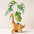 Mustard Diplodocus Dinosaur Planter Filled With Leafy House Plant