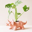 Pink Triceratops Dinosaur Planter Filled With Leafy House Plant