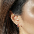 Close Up of Brown Crystal Huggie Hoop Earrings in Gold on Model