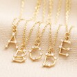 A-E Crystal Constellation Initial Necklaces in Gold on Neutral Fabric