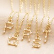 P-T Crystal Constellation Initial Necklaces in Gold on Neutral Fabric