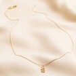 S Crystal Constellation Initial Necklace in Gold Full Length