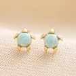 Green Opal Turtle Stud Earrings in Gold on Neutral Coloured Fabric