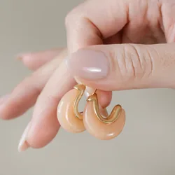 Pink Organic Resin Hoop Earrings in Gold