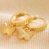 Textured Butterfly Huggie Hoop Earrings in Gold on Beige Coloured Fabric