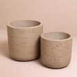 Garden Trading Set of 2 Warm Stone Stratton Straight Planter with neutral coloured background