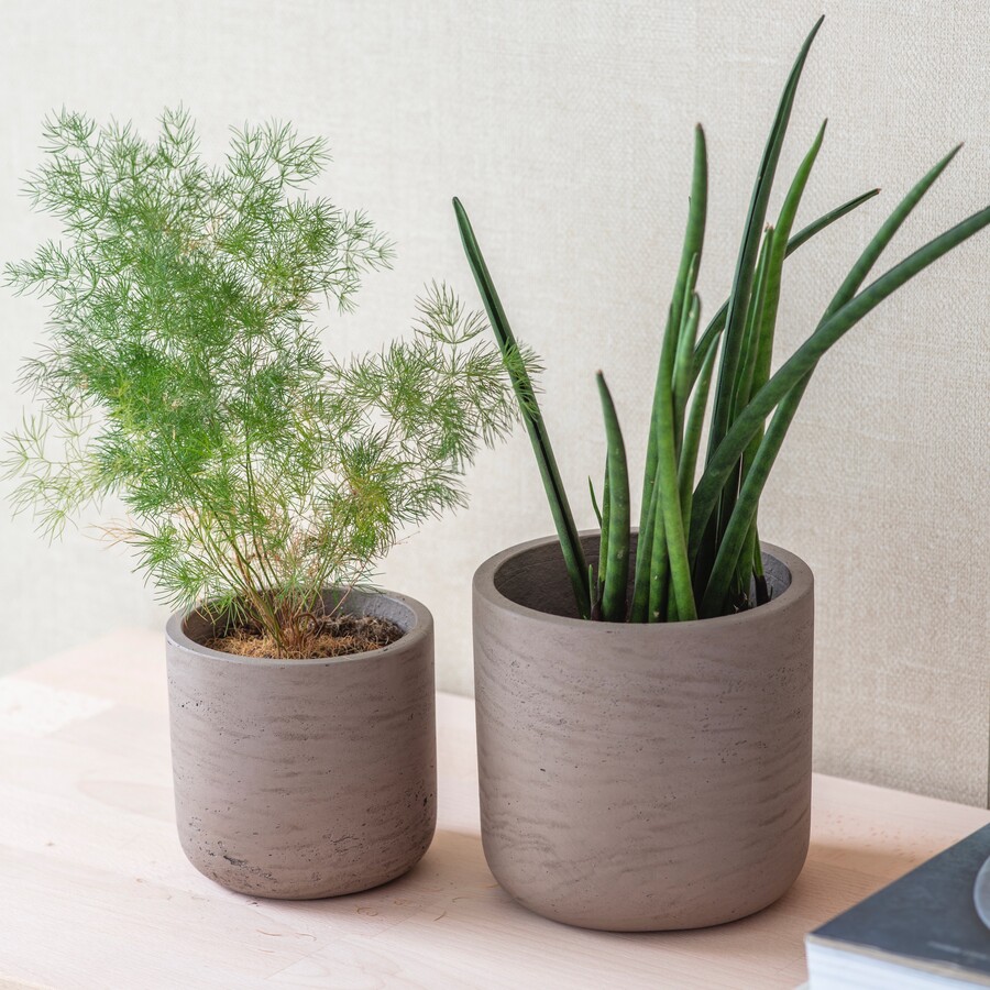 Stratten Warm Spring Set of 2 Warm Stone Stratton Planter | Garden Trading | Lisa Angel