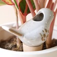 Close Up of Ceramic Bird Plant Watering Spike Inside Plant Pot