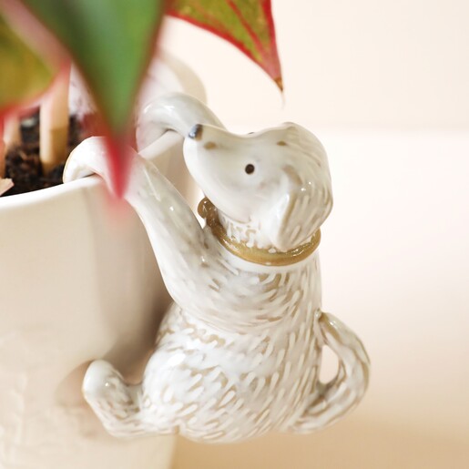 Ceramic Dog Planter Hanger on Side of White Plant Pot
