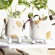 Natural Ceramic Dog Planter in Lifestyle Photo with Cat Planter 