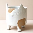 Front of Natural Ceramic Cat Planter on Beige Coloured Backdrop