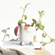Lifestyle Shot of Natural Ceramic Cat Planter with Plant in on Wooden Table