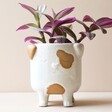 Natural Ceramic Dog Planter with Plant Inside on Neutral Background