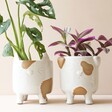 Natural Ceramic Cat Planter and Dog Planter with Plants in
