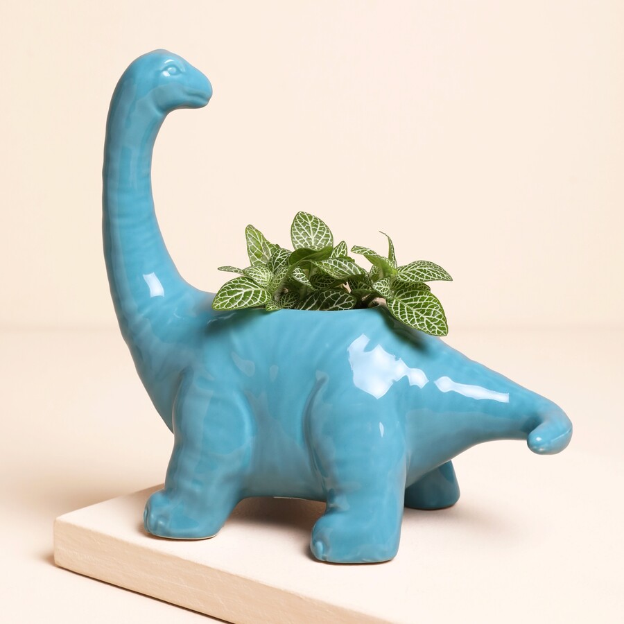 This Adorable Dino Plant Pot is Perfect for Gifting to a Toddler for Their 1st Birthday to Elevate Their Fun Bedroom
