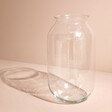 Large Rounded Glass Vase against pink background with shadow behind