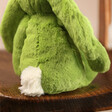 Back of Jellycat Small Bashful Apple Bunny Soft Toy on Wooden Chair