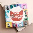 Cat Bingo Game on neutral coloured background