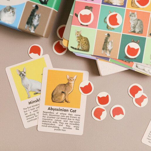Cat Bingo Game open showing cards, counters and bingo sheets