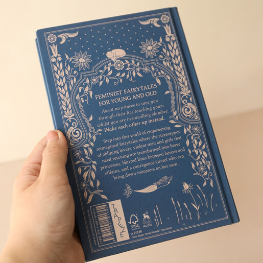 Blurb on Back of Fierce Fairy Tales Book