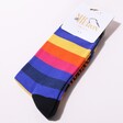Mr Heron Men's Bamboo Blue Stripe Socks in Packaging on White Background