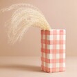 Sass & Belle Pink Gingham Vase with dried grass inside