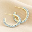 Blue Stone Hoop Earrings in Gold on Neutral Coloured Fabric