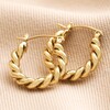 Medium Twisted Rope Hoop Earrings in Gold on Neutral Fabric