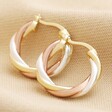 Mixed Metal Twisted Hoop Earrings in Gold on Neutral Fabric