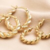 Medium Twisted Rope Hoop Earrings in Gold With Large Version