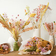 Spring Meadow Dried Flower Collection Arranged in Vases